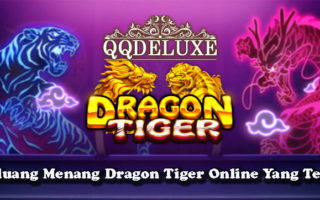 Peluang Menang Dragon Tiger Online Yang Tepat